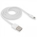 Кабель USB для iPhone Lightning in box AAA