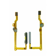 Шлейф для Huawei P40 Lite (JNY-LX1)/Honor 30S/P40lite 5G/Nova 6SE/Nova 7SE/Nova 7i+сканер отпечатка серебро/синий(синий) Шлейф для Huawei P40 Lite (JNY-LX1)/Honor 30S/P40lite 5G/Nova 6SE/Nova 7SE/Nova 7i+сканер отпечатка серебро/синий(синий)