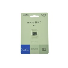 Карта памяти MicroSD 256 ГБ класс 10 без адаптера Карта памяти MicroSD 256 ГБ класс 10 без адаптера